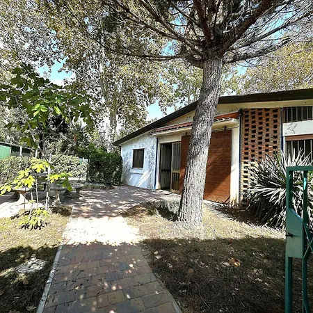 Apartmán Near In 54700